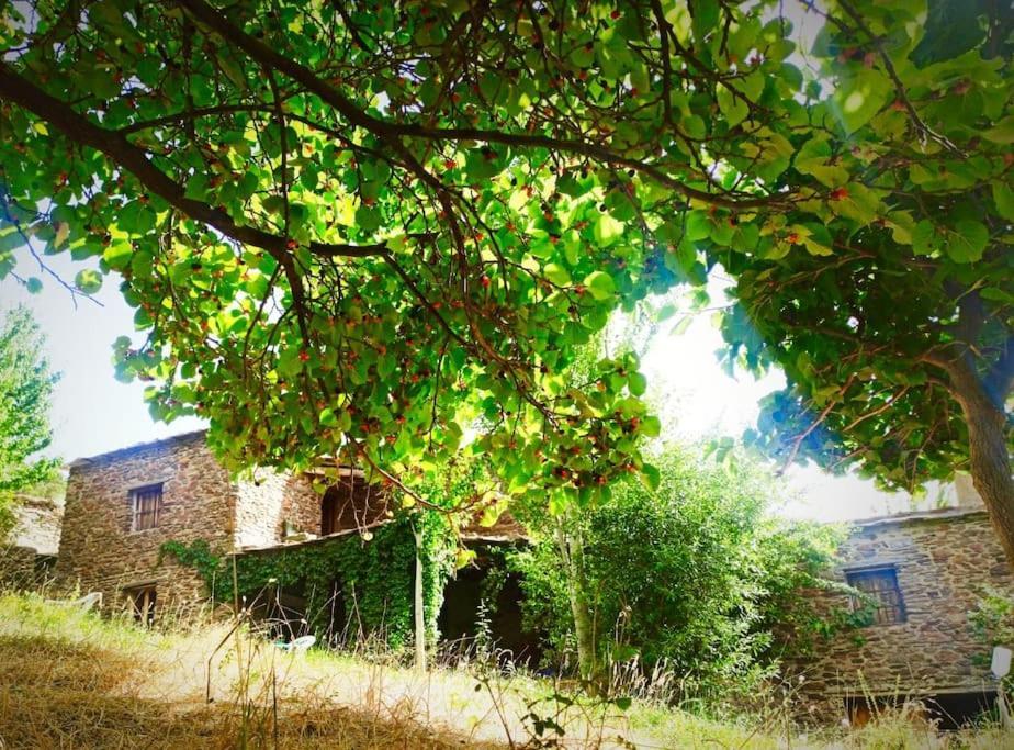 הוילה Cortijo Rural El Albercon - Capileira - Alpujarra Rural מראה חיצוני תמונה