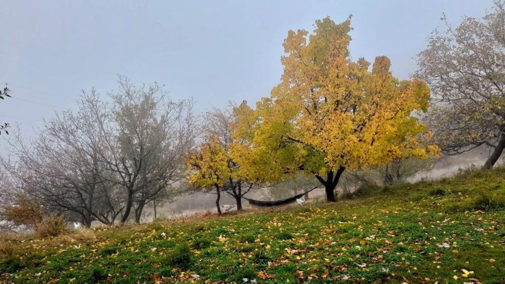 הוילה Cortijo Rural El Albercon - Capileira - Alpujarra Rural מראה חיצוני תמונה