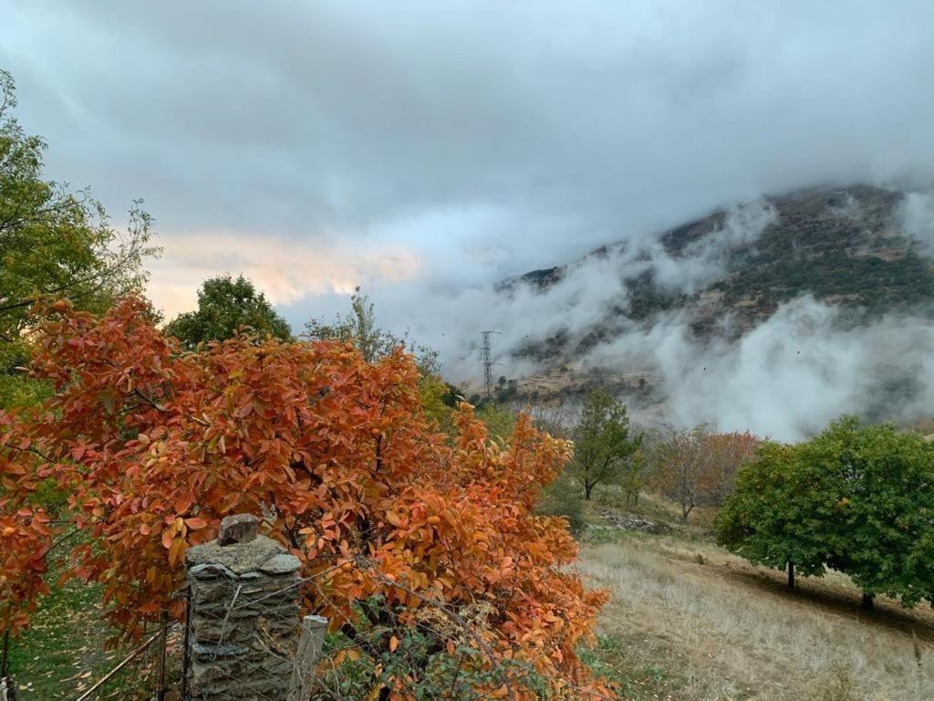 הוילה Cortijo Rural El Albercon - Capileira - Alpujarra Rural מראה חיצוני תמונה