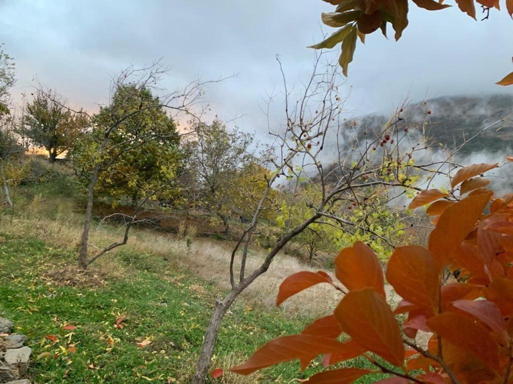 הוילה Cortijo Rural El Albercon - Capileira - Alpujarra Rural מראה חיצוני תמונה