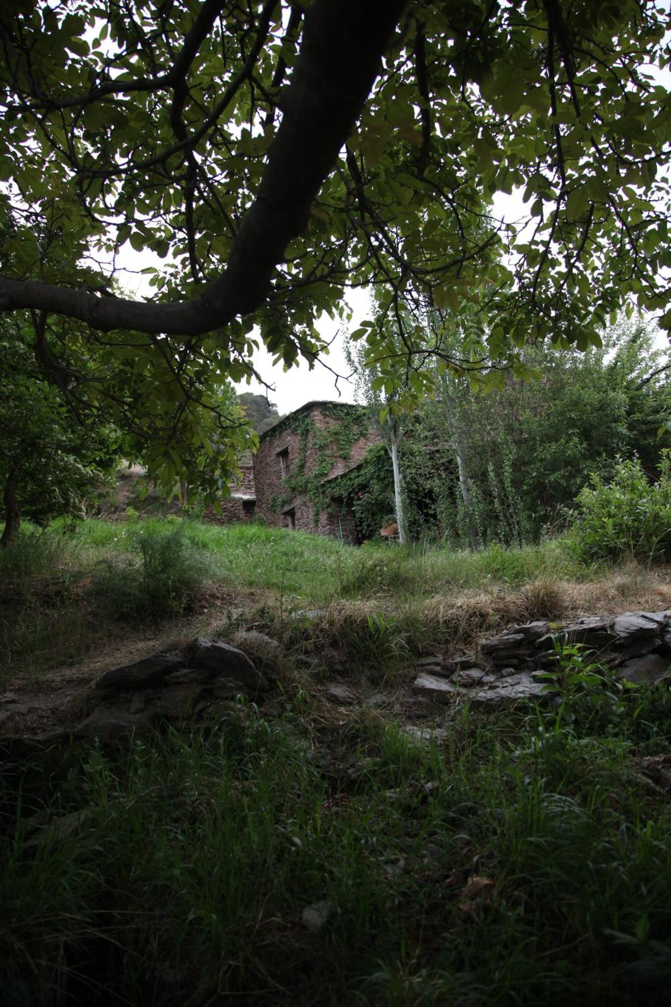 הוילה Cortijo Rural El Albercon - Capileira - Alpujarra Rural מראה חיצוני תמונה
