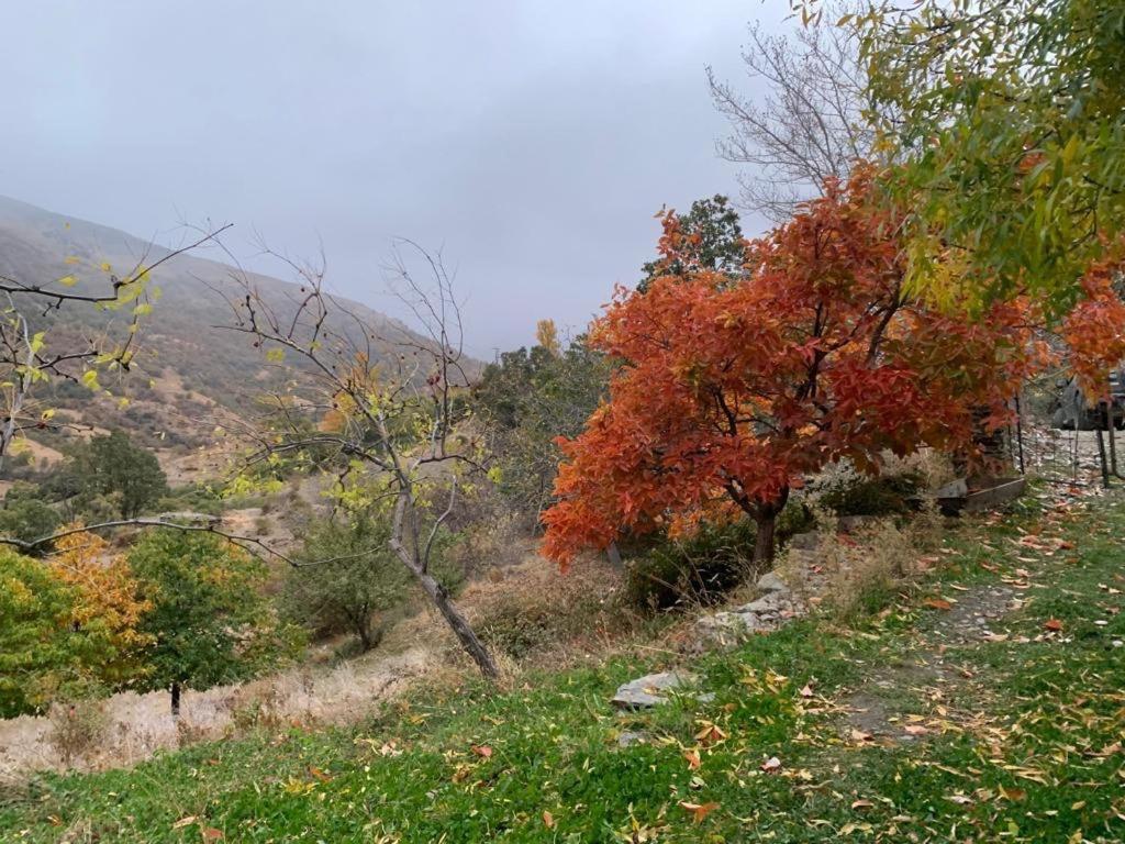 הוילה Cortijo Rural El Albercon - Capileira - Alpujarra Rural מראה חיצוני תמונה