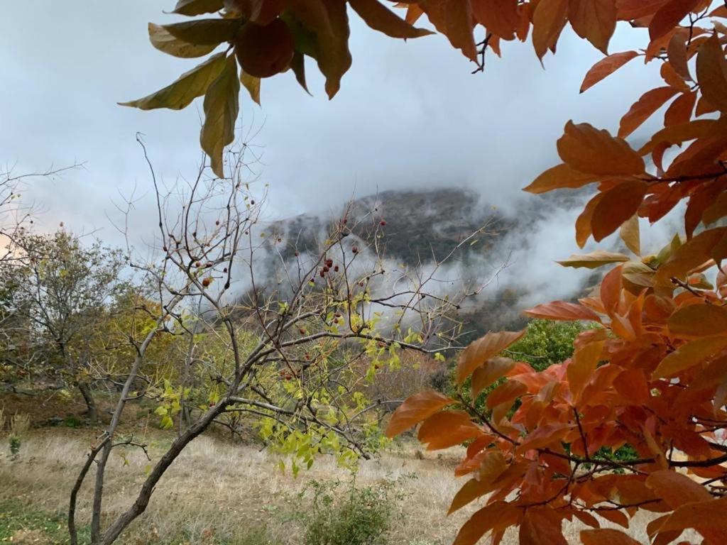 הוילה Cortijo Rural El Albercon - Capileira - Alpujarra Rural מראה חיצוני תמונה