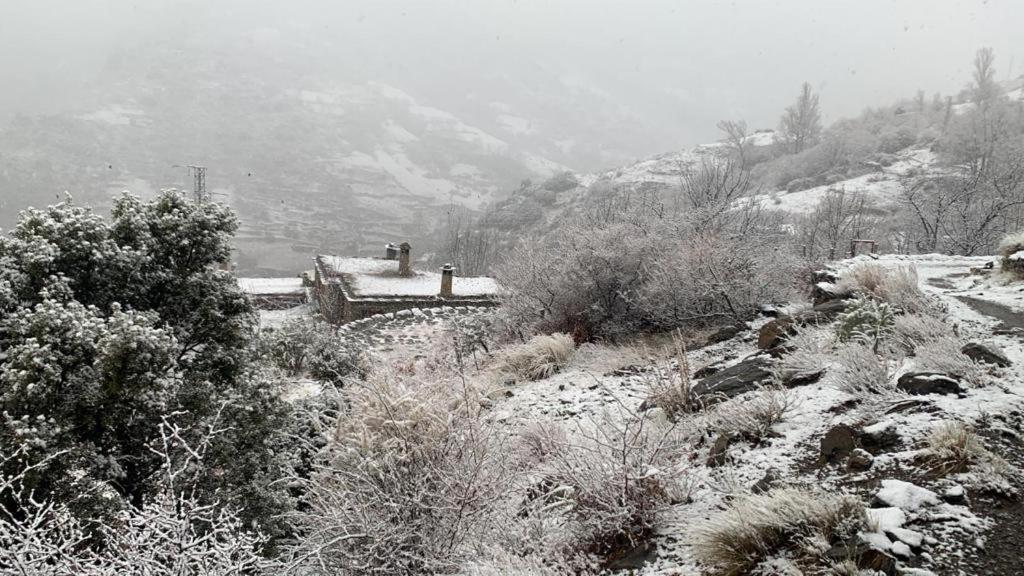 הוילה Cortijo Rural El Albercon - Capileira - Alpujarra Rural מראה חיצוני תמונה